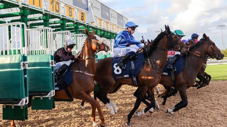 Breguet Boy ire Odds Entries Racing Form Betfair Blog